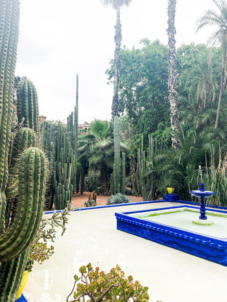 Le Jardin Majorelle in mitten der Stadt Marrakesch
