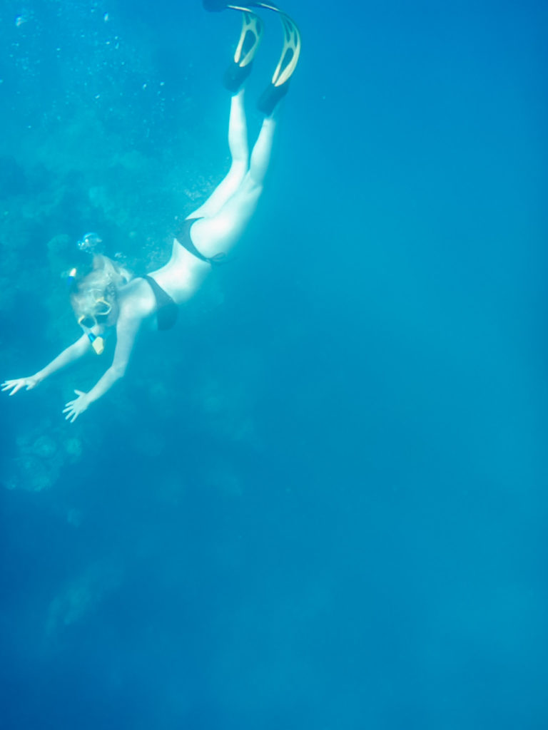 Unterwasserwelt beim Schnorcheln im Great Barrier Reef