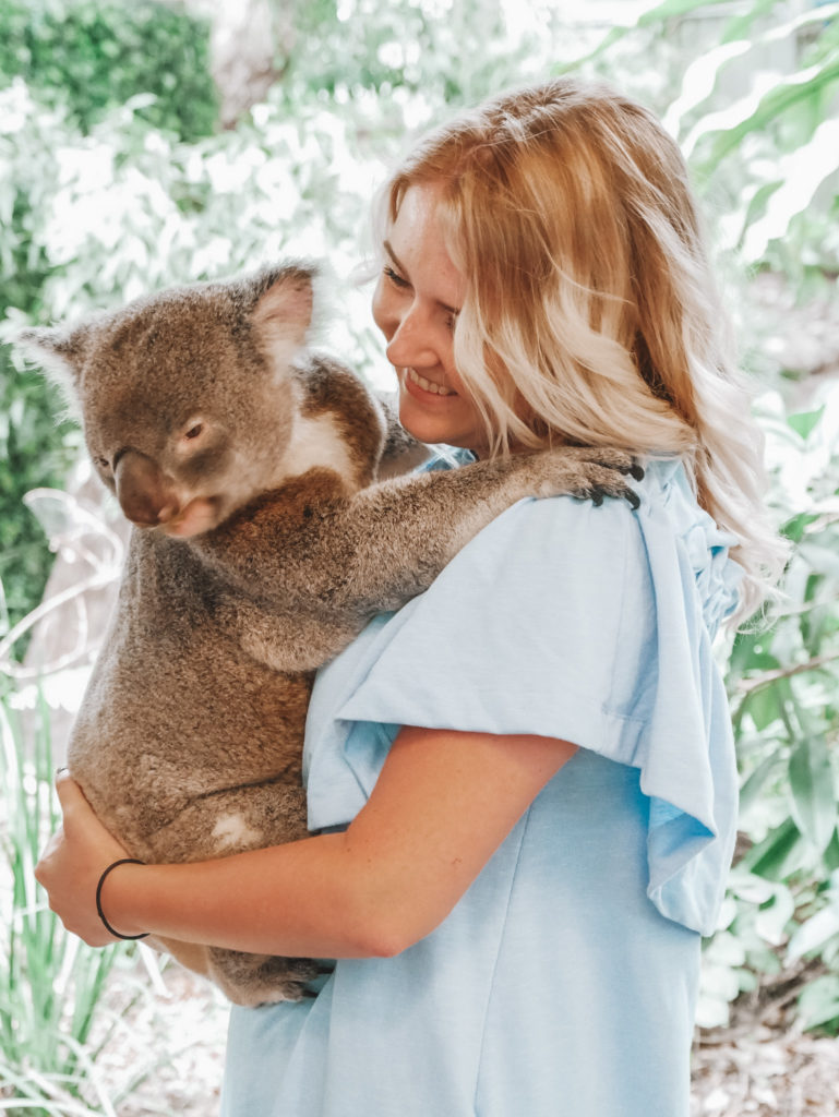 Meet & Greet mit Koalas im Lone Pine Koala Sanctuary