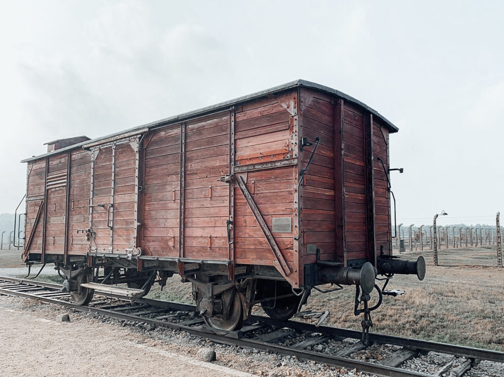 Vernichtungslager Auschwitz Birkenau
